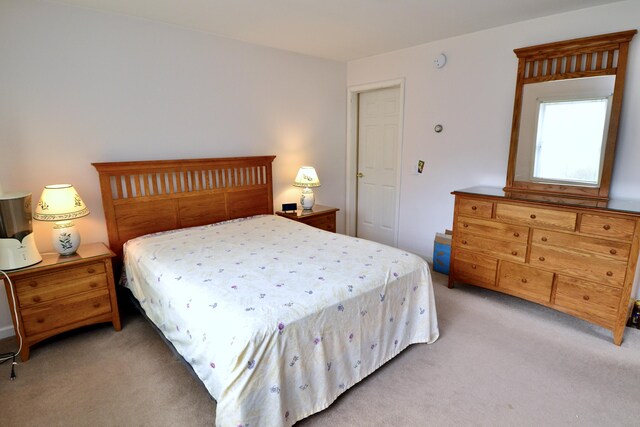 62 Jernegan Ave, Edgartown, MA 02539 - bedroom featuring light colored carpet