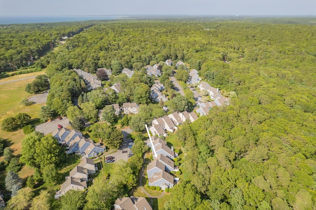 290 Fletcher Ln, Brewster, MA 02631 - aerial overview of property's location with a forest and nearby suburban area
