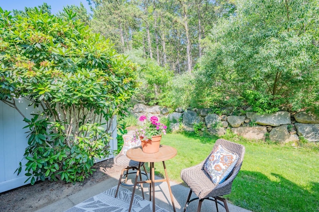 290 Fletcher Ln, Brewster, MA 02631 - view of patio