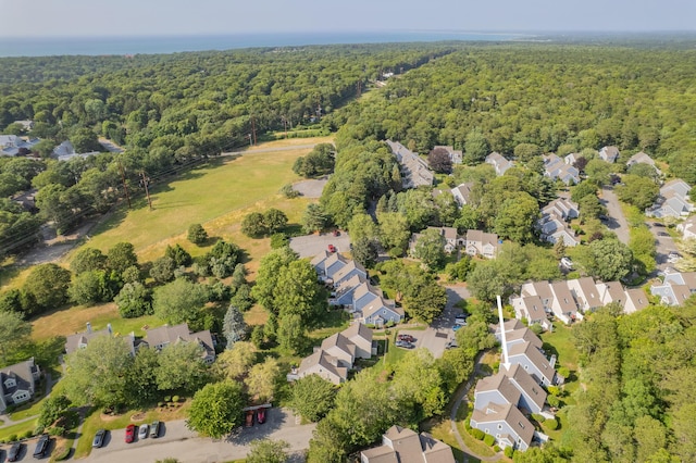 290 Fletcher Ln, Brewster, MA 02631 - aerial view of residential area with a forest