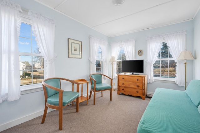 living area featuring crown molding, baseboards, and carpet flooring