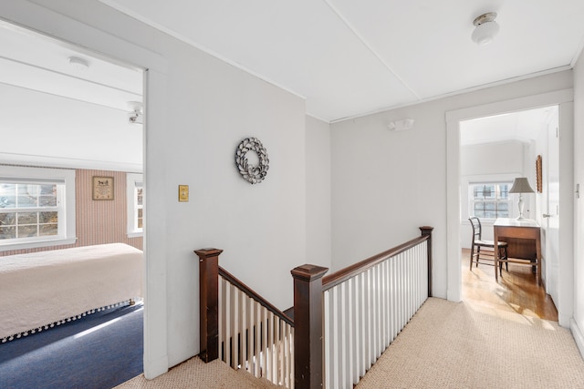 hallway with carpet and an upstairs landing