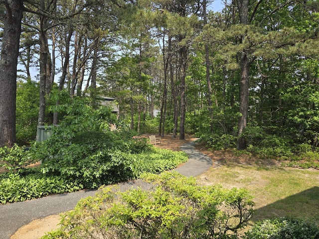 432 Old Chatham Rd Unit 504, South Dennis, MA 02660