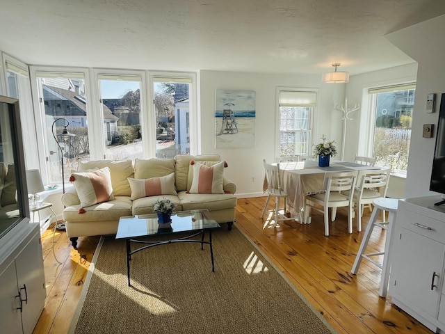 16 Hydrangea Ln, Mashpee, MA 02649 - living room with light wood-style floors and baseboards