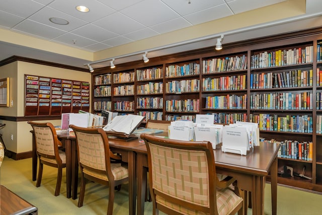 110 Dillingham Ave Unit 212U, Falmouth, MA 02540 - office area with track lighting, bookshelves, and carpet floors
