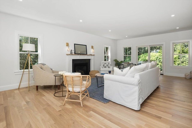 living room featuring light hardwood / wood-style floors