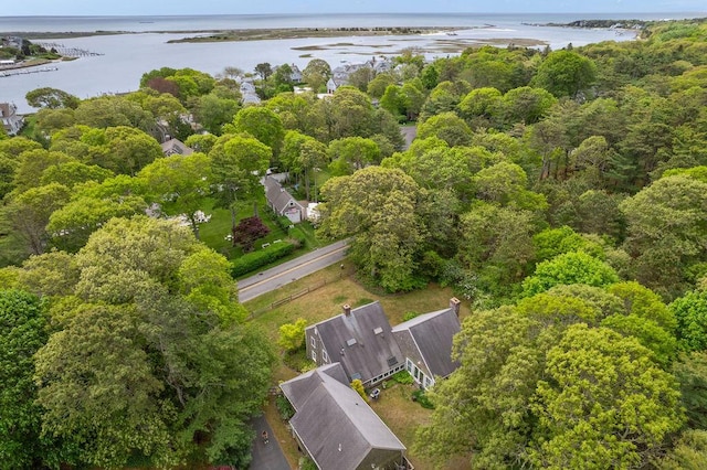 181 Pleasant St, South Yarmouth, MA 02664 - aerial overview of property's location featuring a nearby body of water and a forest