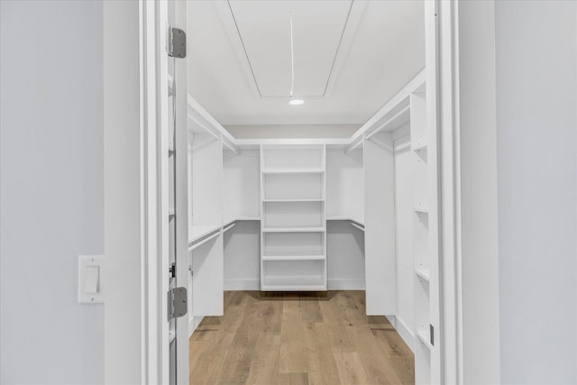 walk in closet featuring light hardwood / wood-style floors