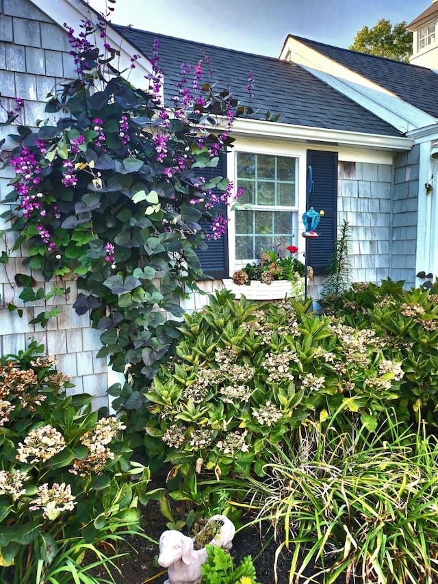21 Nickerson Rd Unit 3, Cotuit, MA 02635 - entrance to property with a shingled roof