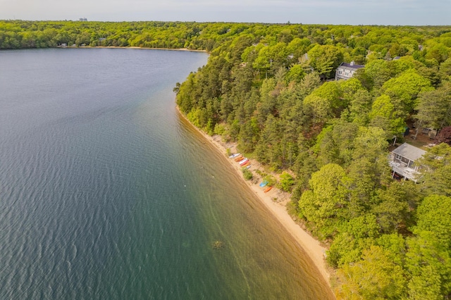 272 Sheep Pond Dr, Brewster, MA 02631 - bird's eye view of a heavily wooded area and a large body of water