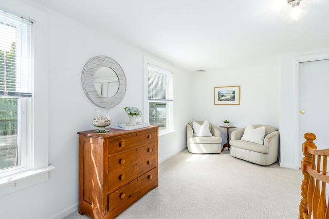 429 Paines Creek Rd, Brewster, MA 02631 - living area featuring plenty of natural light and light carpet