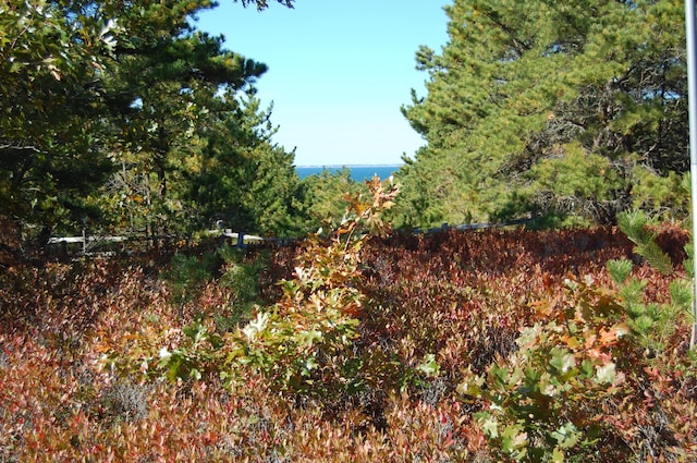 view of landscape