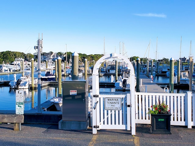 dock area with a water view