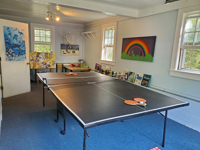 game room featuring ornamental molding and carpet flooring