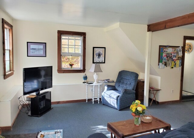 dining space featuring carpet and baseboard heating