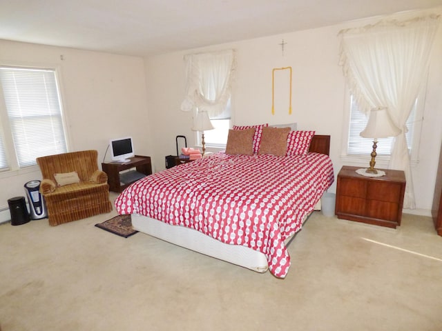 bedroom with carpet floors