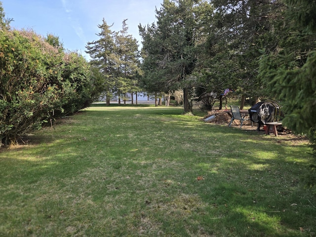 57 Cedar Hill Rd, Brewster, MA 02631 - view of green lawn