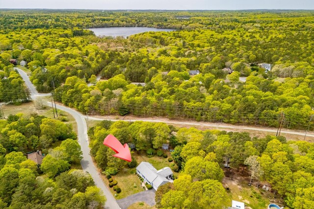 bird's eye view of a forest and a large body of water