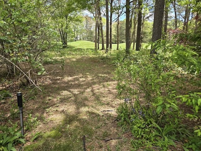 13 Quail Hollow Cir, Sandwich, MA 02563 - view of nature