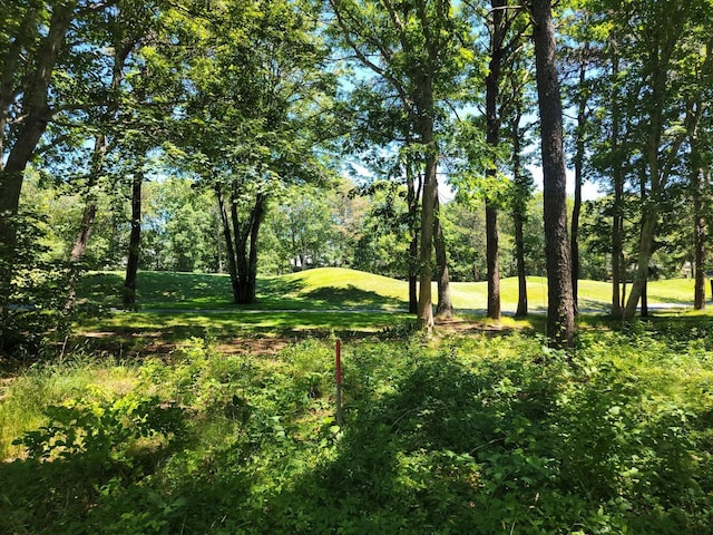 13 Quail Hollow Cir, Sandwich, MA 02563 - view of tree filled area