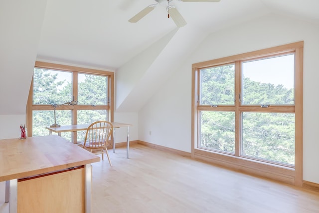 bonus room featuring vaulted ceiling, light hardwood / wood-style flooring, and a healthy amount of sunlight