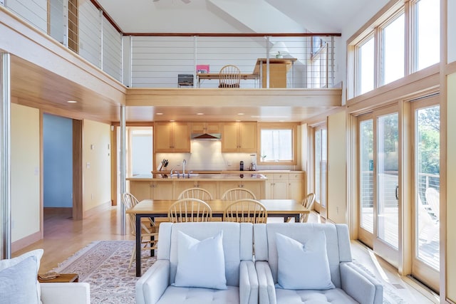 interior space featuring light wood-type flooring, a high ceiling, and sink