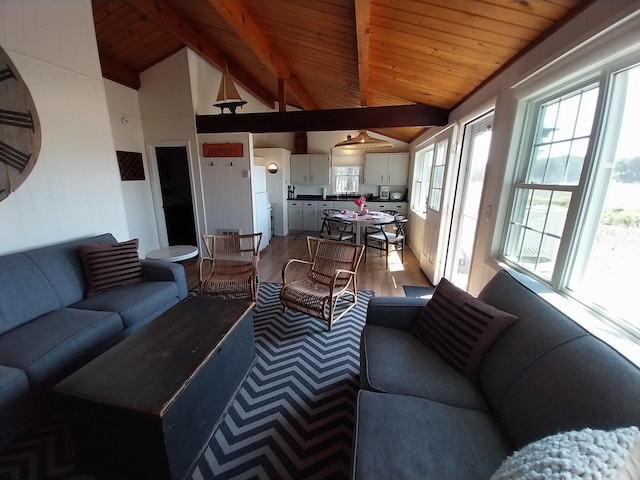 100 Hiawatha Rd Unit B, Wellfleet, MA 02667 - living room with wood finished floors and wooden ceiling