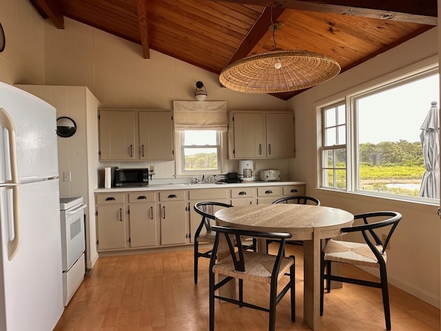 100 Hiawatha Rd Unit B, Wellfleet, MA 02667 - kitchen featuring white appliances, wooden ceiling, a sink, light wood finished floors, and healthy amount of natural light