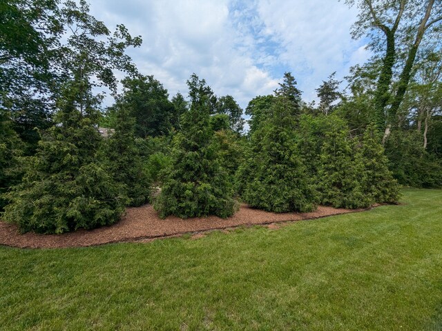 29 Pilgrim Rd, Dennis, MA 02638 - photo 8