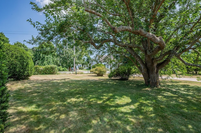 64 Riverside Dr, West Harwich, MA 02671 - view of grassy yard