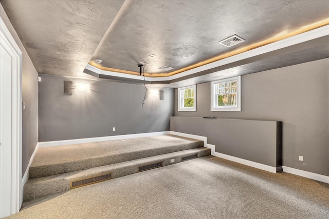 24 Pleasant Park Dr, Mashpee, MA 02649 - home theater room with a tray ceiling and carpet floors