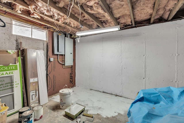 basement with electric panel