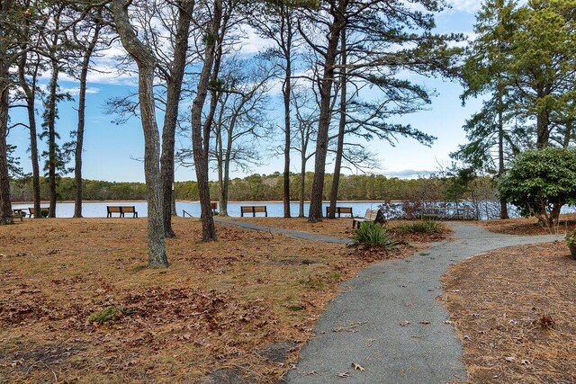 property view of water