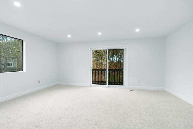 unfurnished room with light carpet and a healthy amount of sunlight