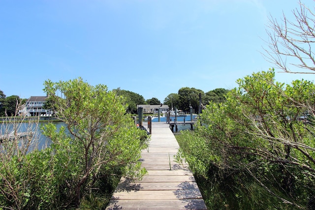 dock area with a water view