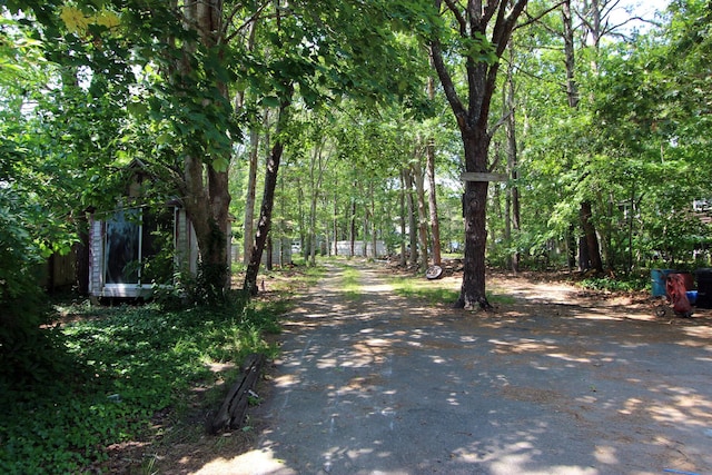 view of road featuring a view of trees