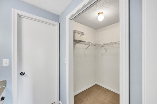 spacious closet featuring carpet flooring