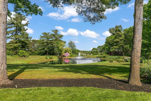 view of property's community featuring a water view and a lawn