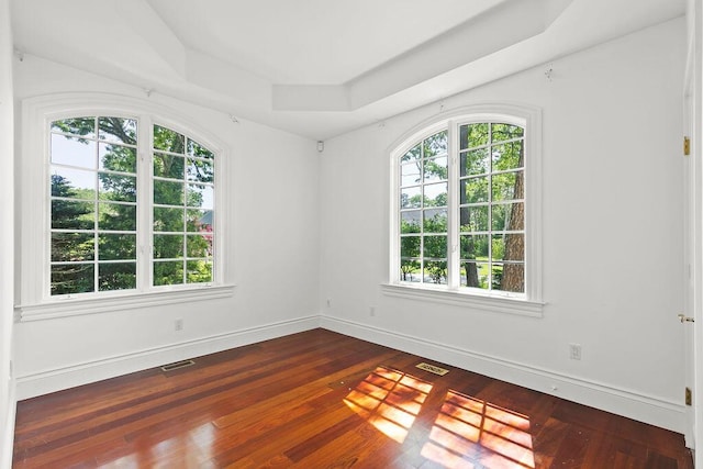 spare room with dark hardwood / wood-style floors and a raised ceiling