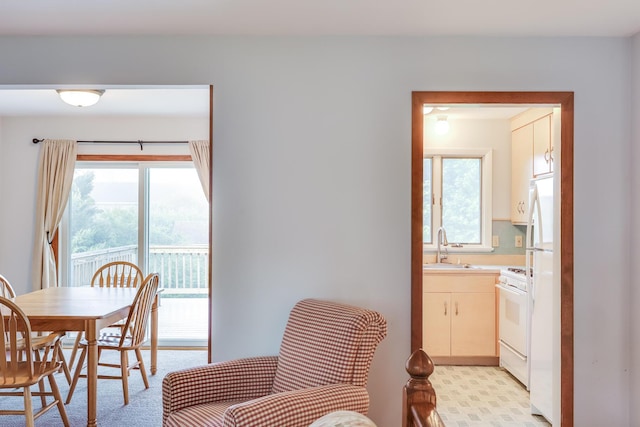 dining room featuring sink