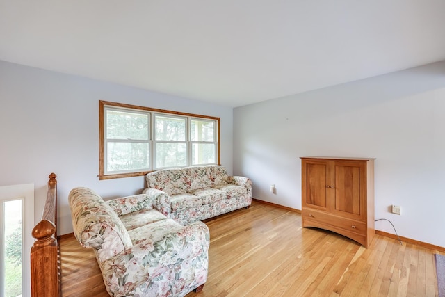 living room with light wood-type flooring and a wealth of natural light