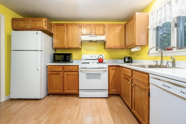 9 Pacific Ave, Mashpee, MA 02649 - kitchen with white appliances, light countertops, under cabinet range hood, light wood-style flooring, and brown cabinetry