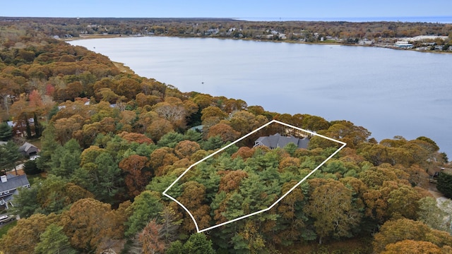 aerial view featuring a water view and a wooded view