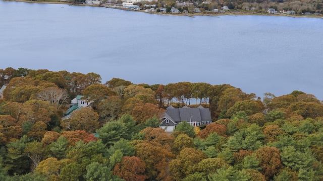 drone / aerial view featuring a water view and a view of trees