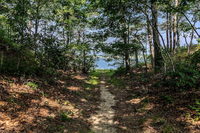 view of local wilderness