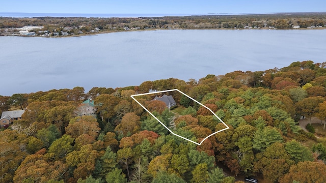 birds eye view of property with a water view and a view of trees