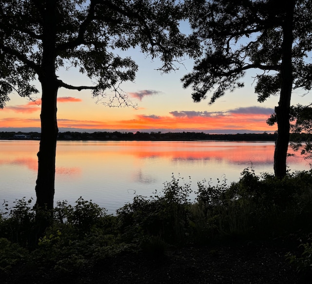 property view of water