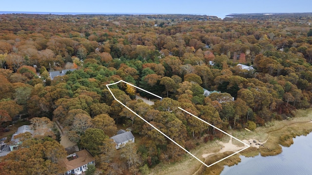 aerial view with a water view and a view of trees