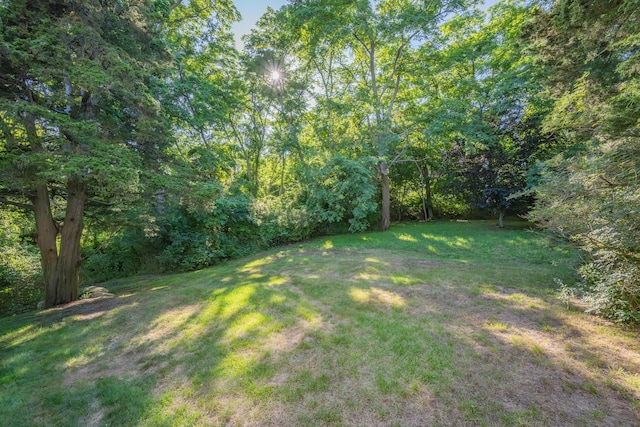 1875 State Hwy, Eastham, MA 02642 - photo 55
