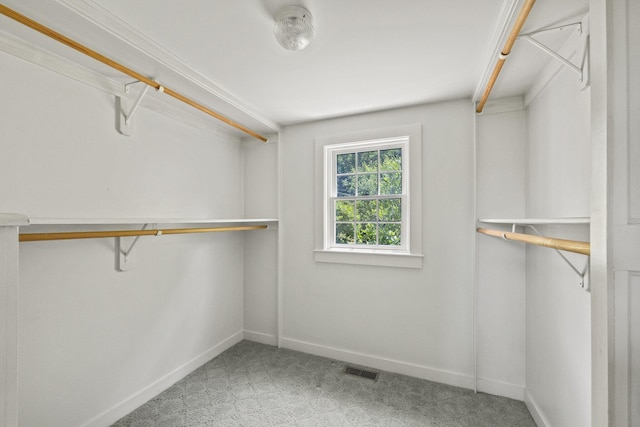 spacious closet featuring carpet floors